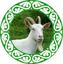 zelena koza-malka