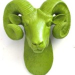 zelena koza-1