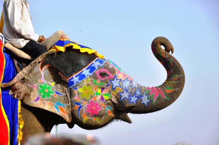 #17 Jaipur Elephant Festival (India)