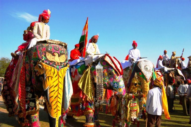 #17 Jaipur Elephant Festival (India)2