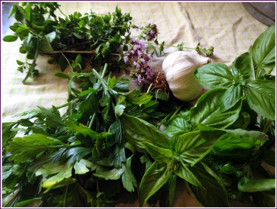 herbs-and-garlic