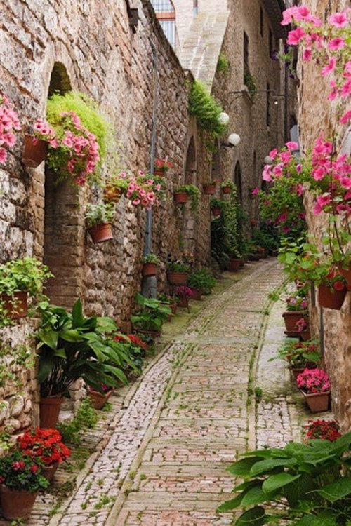 ulica v Живерни (Giverny), Франция