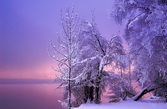 winter-landscapes-8