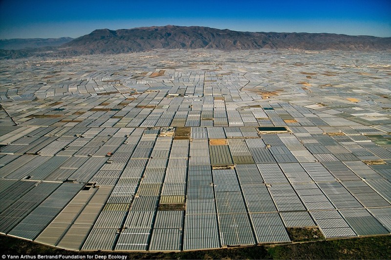 The area around Almeria in Spain is littered with greenhouses as far as the eye can see – simply for a richly filled dinner table.