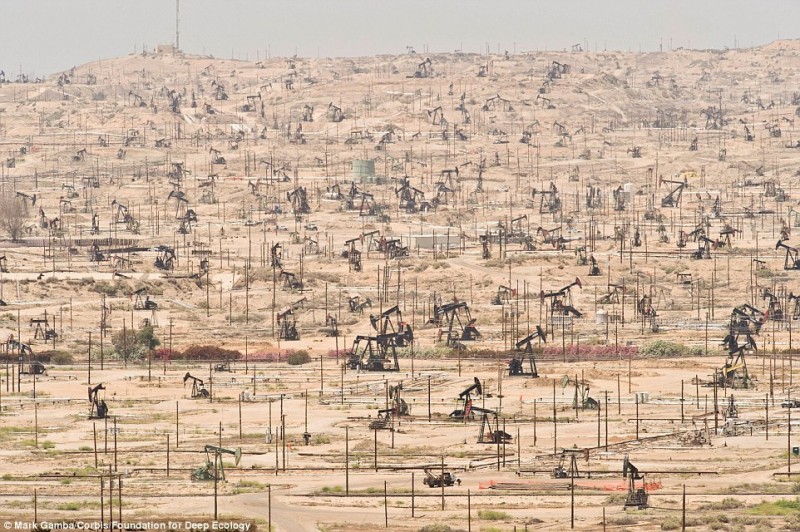 To the last drop an oilfield in California and its merciless overexploitation by humans.
