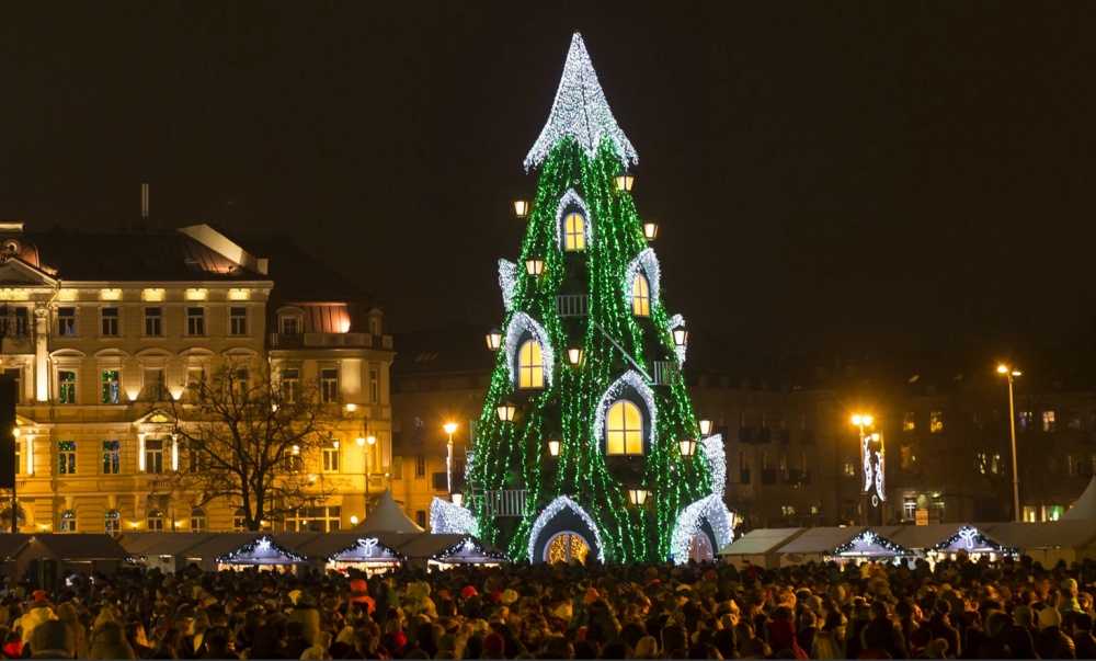 Вилнюс, Литва Дървото е разположено на Катедралния площад