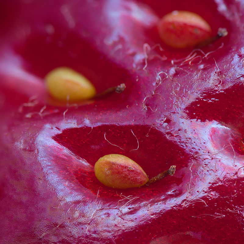 Повърхността на ягода в макро изображение Photograph by ALEXEY KLJATOV