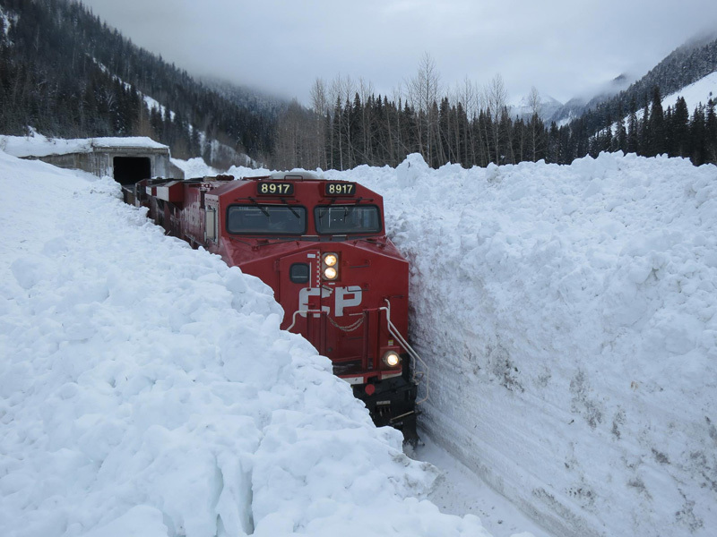 Влак през зимата в Канада Photograph by Parks Canada