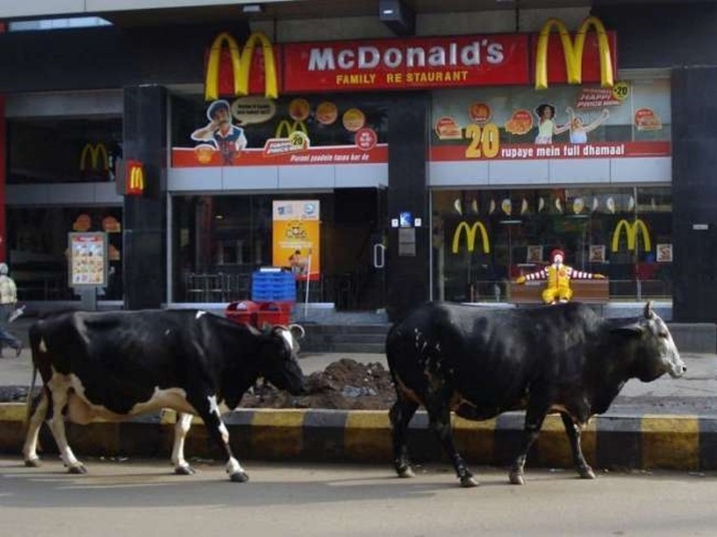 Крави се разхождат по улиците в града