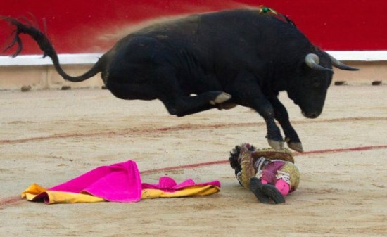epa03297045 A 'novillo-toro' bull from the ranch of El Parralejo leaps over the young bullfighter Gomez del Pilar after he abandoned his cape as he tried a pass on his knees as the bull enters the bullring in Pamplona, Spain, 05 July 2012. The bull did not gore the 'novillero' fighter in the first bullfight of the San Fermin fiesta. The fiesta officially kicks off tomorrow 06 July at noon and the first running of the bulls or 'encierro is on 07 July morning. EPA/JIM HOLLANDER +++(c) dpa - Bildfunk+++