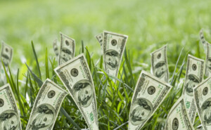 100 dollar bills growing in grass