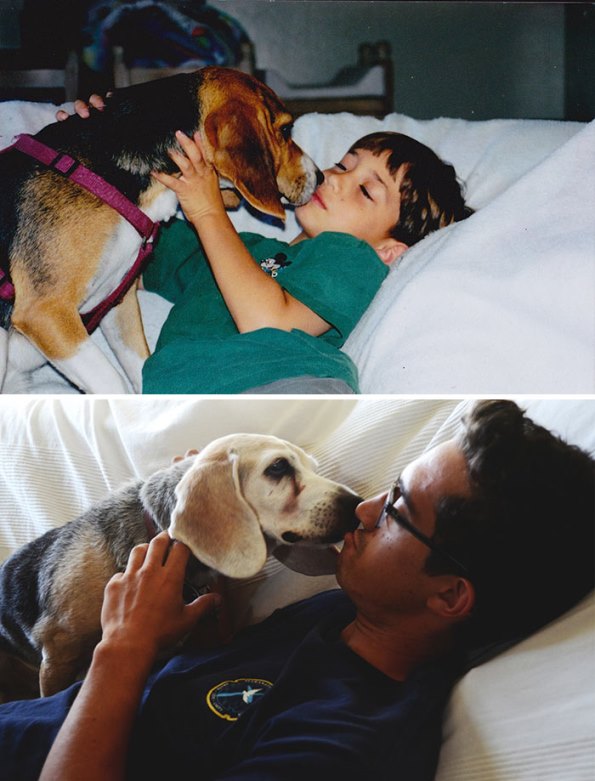 before-after-dogs-10